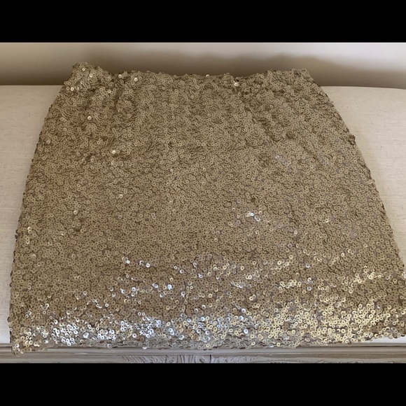 New York & Company Dresses & Skirts - New York and Company Sequin Skirt